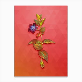 Vintage Greater Periwinkle Flower Botanical Art on Fiery Red n.0989 Canvas Print