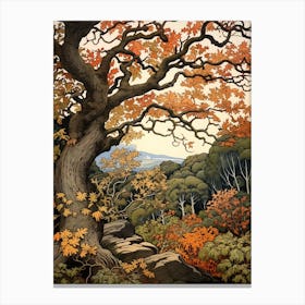 Oak 1 Vintage Autumn Tree Print  Canvas Print