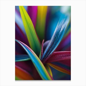 Colorful Leaves Of A Plant Canvas Print