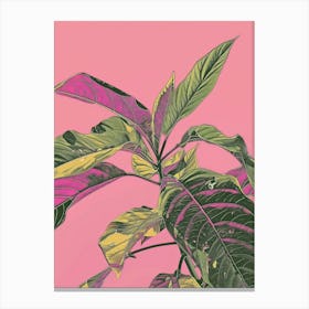 'Pink' Canvas Print