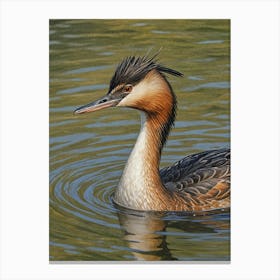 Swimming Duck Canvas Print