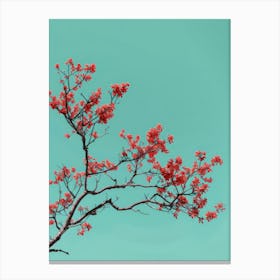 Red Cherry Blossoms Against Blue Sky Canvas Print