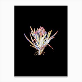 Stained Glass Pygmy Iris Mosaic Botanical Illustration on Black n.0089 Canvas Print