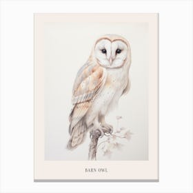 Vintage Bird Drawing Barn Owl 2 Poster Canvas Print