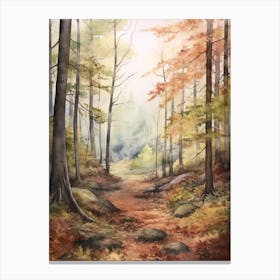 Autumn Forest Landscape The Thuringian Forest Germany Canvas Print