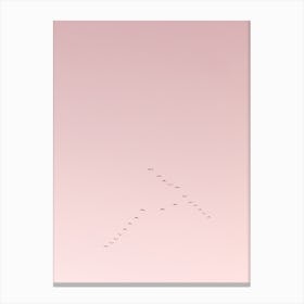 Birds in the sky (pastel pink minimalistic) | The Netherlands Canvas Print