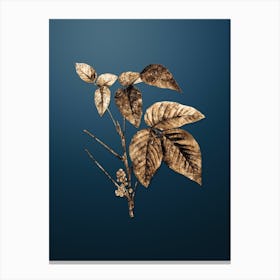 Gold Botanical Eastern Poison Ivy on Dusk Blue n.1130 Canvas Print