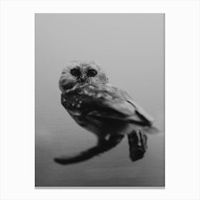 The Curious Owl Canvas Print