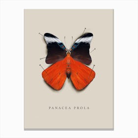 Butterfly No3 Canvas Print