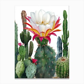 Cactus Flower 11 Canvas Print