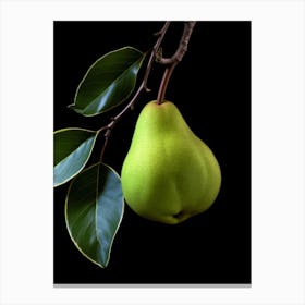 Pear 6 Canvas Print