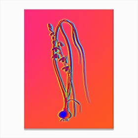 Neon Albuca Botanical in Hot Pink and Electric Blue n.0329 Canvas Print