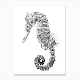 Dotwork Seahorse Illustration Canvas Print