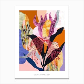 Colourful Flower Illustration Poster Globe Amaranth 1 Canvas Print