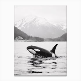 Icy Mountain In Distance With Orca Whale Coming Up For Air Canvas Print