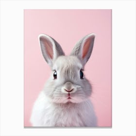 Rabbit On Pink Background 1 Canvas Print