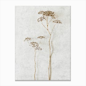 Wild Flowers Canvas Print