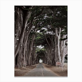 California Road Canvas Print