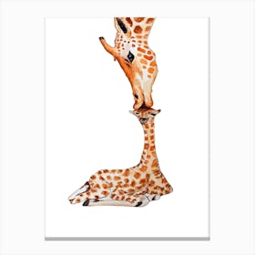 Giraffe V Canvas Print