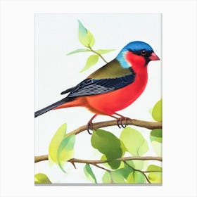 Finch 2 Watercolour Bird Canvas Print