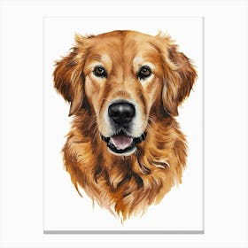 Golden Retriever Canvas Print