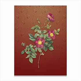 Vintage Alpine Rose Botanical on Falu Red Pattern n.0911 Canvas Print