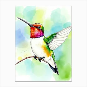 Watercolor Hummingbird 1 Canvas Print