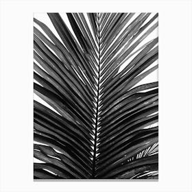 Palm Leaf 01 Canvas Print