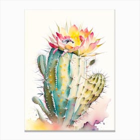 Stenocactus Cactus Storybook Watercolours Canvas Print