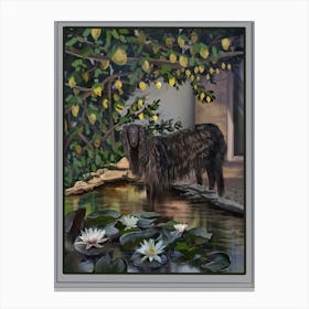 A fluffy dog in an Italian courtyard surrounded by a lemon tree and a pond with beautiful lilies. Art Print Canvas Print