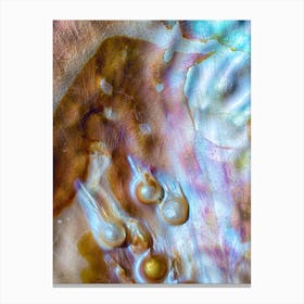 Oyster Canvas Print