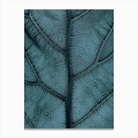 Blue Leaf Veins Canvas Print