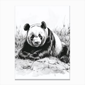 Giant Panda Resting In A Field Ink Illustration 3 Canvas Print