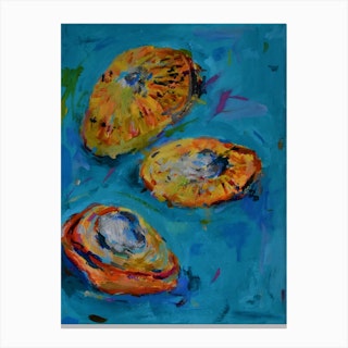 Sea Shells 2 Canvas Print