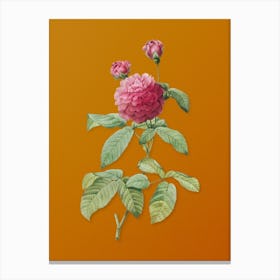 Vintage Agatha Rose in Bloom Botanical on Sunset Orange n.0637 Canvas Print