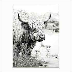 Black & White Illustration Of Highland Cow In The Lake Canvas Print