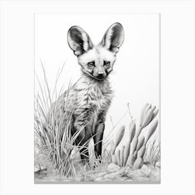 Bat Eared Fox Realism Drawing 2 Canvas Print