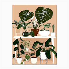 Houseplants 7 Canvas Print