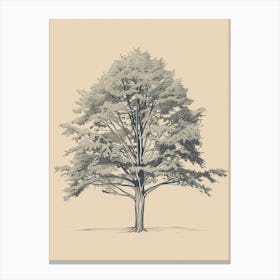 Beech Tree Minimalistic Drawing 1 Canvas Print