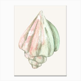 Watercolor Sea Shell 7 Canvas Print