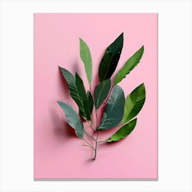 Green Leaves On Pink Background Canvas Print