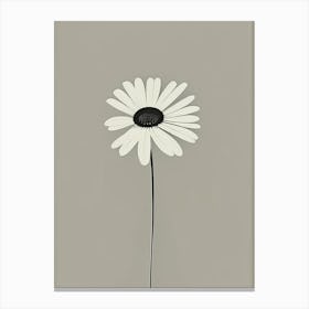 Oxeye Daisy Wildflower Simplicity Canvas Print