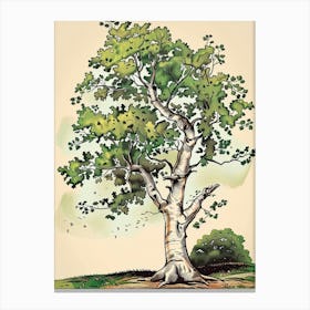 Beech Tree Storybook Illustration 3 Canvas Print