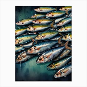 Sardines 16 Canvas Print