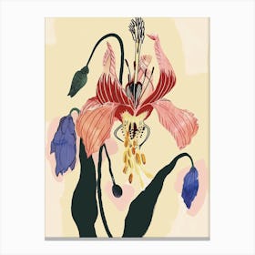 Colourful Flower Illustration Bleeding Heart 5 Canvas Print