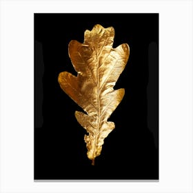 Golden Oak Leaf Canvas Print