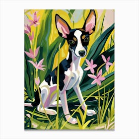 Chihuahua 5 Canvas Print