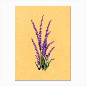 Lavender Country Wildflower Canvas Print