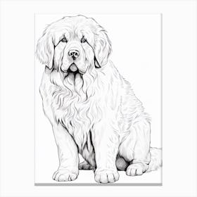 Newfoundland Dog, Line Drawing 4 Canvas Print
