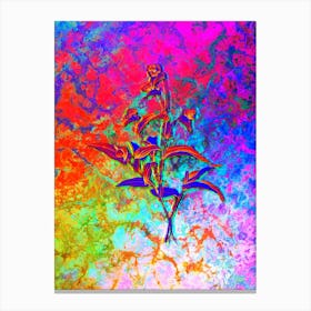 Blue Spiderwort Botanical in Acid Neon Pink Green and Blue n.0092 Canvas Print